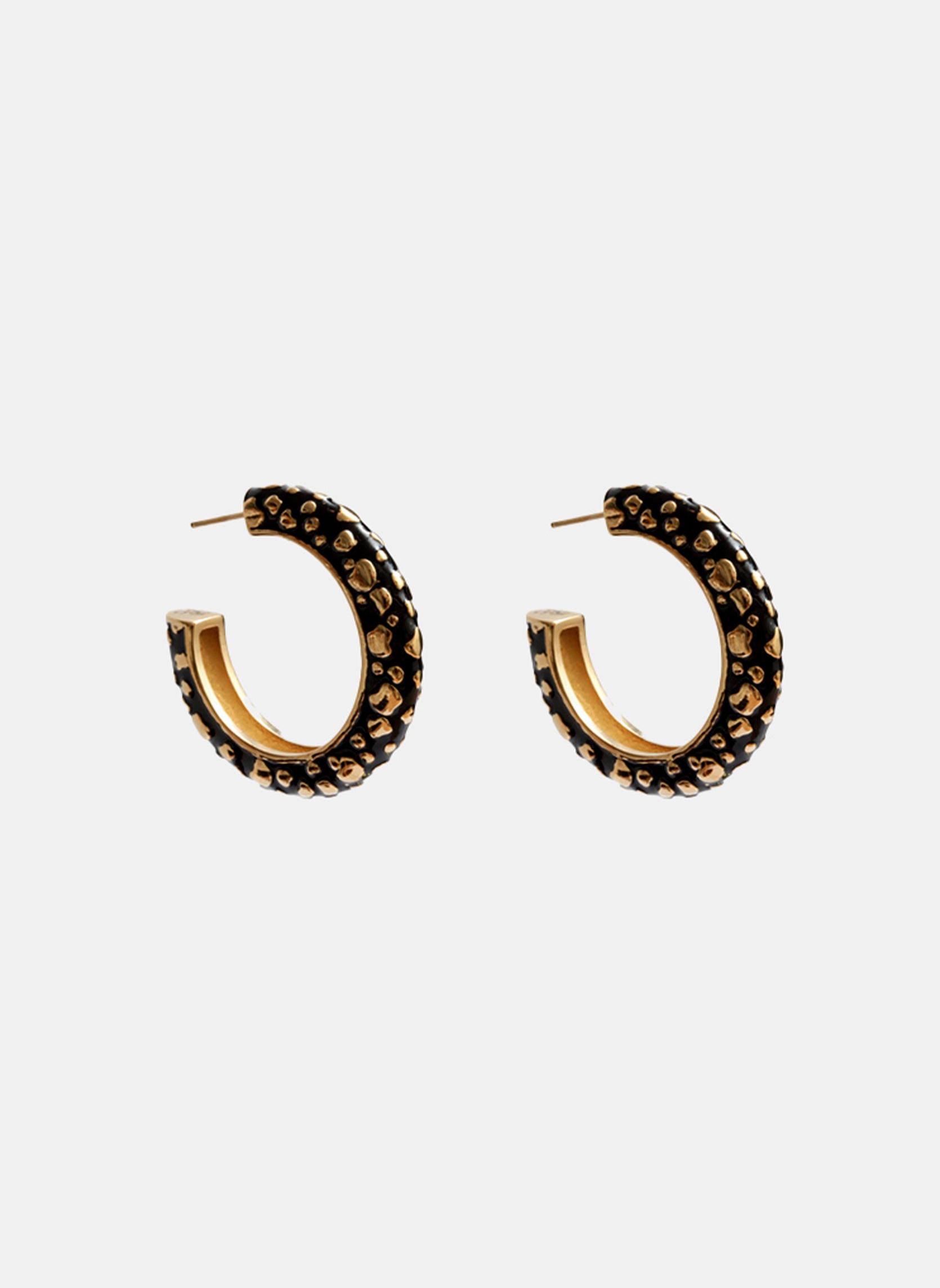 Hoops Cephus