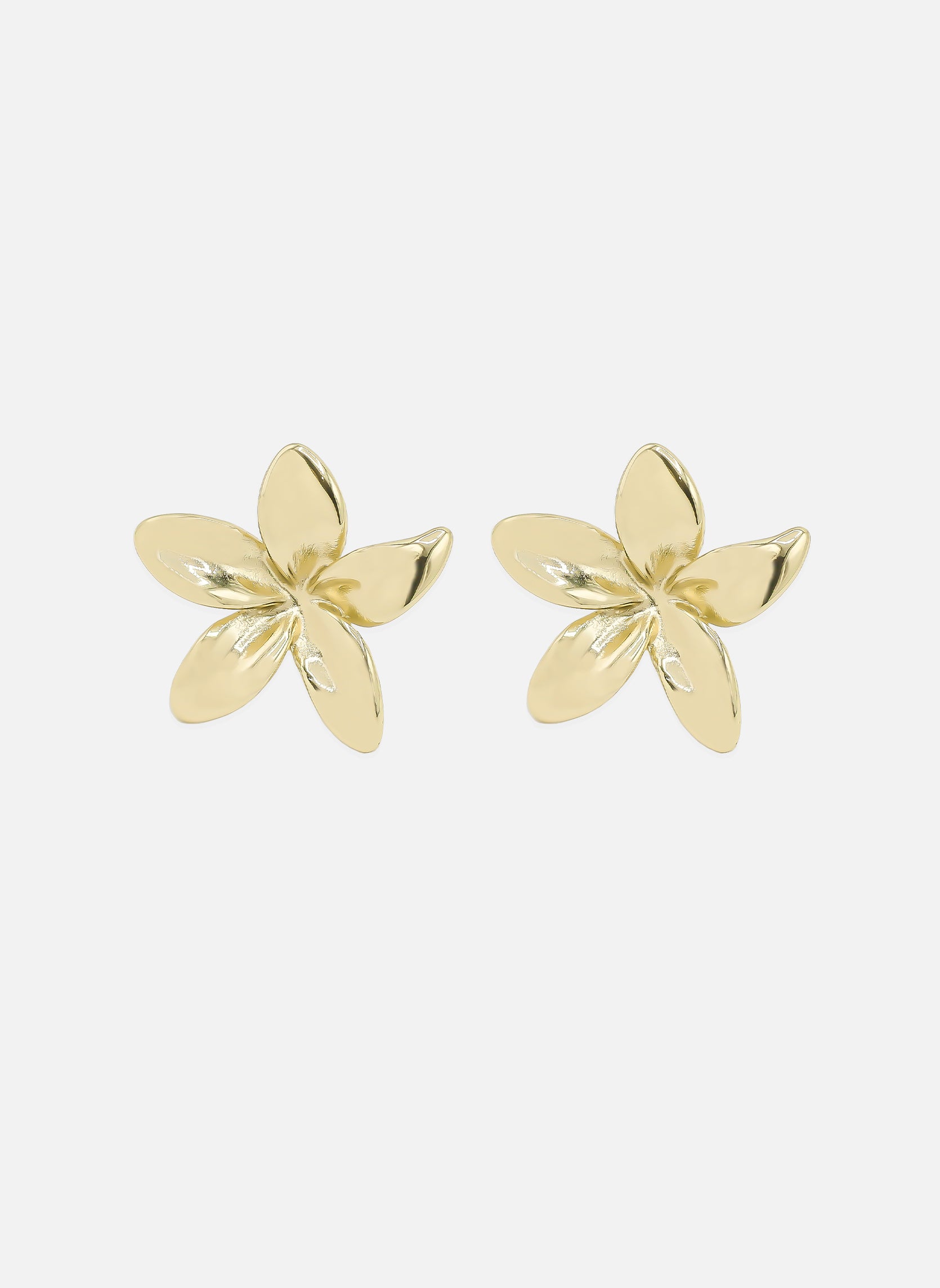 Flora ear chips